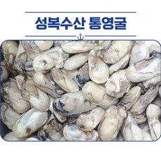 국산 통영 생굴 냉동 유통, 4개 - 통영자개장