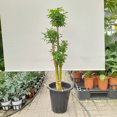 148ab6e36952611c3599c1c5b1a304cdf41ecaff54d7a6aab5a59c6df5e8.JPG