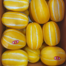 맛쟁이상회 산지직송 당도선별 성주 꿀 참외, 1박스, 가정용 2kg 중과