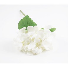 33d852a6de9a3338902a0614caba2f879c9b1e5e6c3cc1f54914dd30450f.jpg