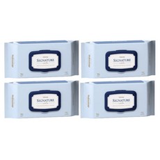 부가부선브리지캐노피