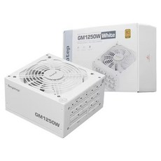 Segotep GM1250W 80PLUS GOLD 풀모듈러 ATX 3.1 (PCIE5.1) 화이트, 1개, 선택하세요