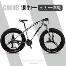 오프로드 광폭타이어 팻바이크 바퀴큰자전거 산악용 자전거 7단 화이트 MTB 20인치, 27단, 은색(3개의 나이프 )