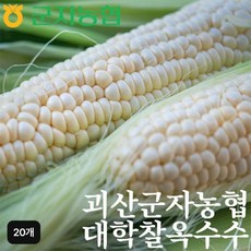 군자농협 괴산대학찰옥수수 20개, 단일옵션