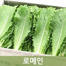 로메인상추4kg