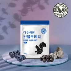 정성담은블루베리