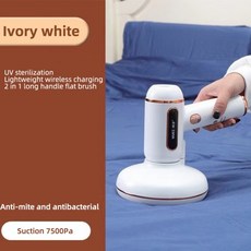 침대스팀살균