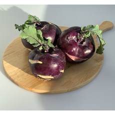 [휘문농업] 프리미엄 제주 콜라비 고당도, 1개, 10kg