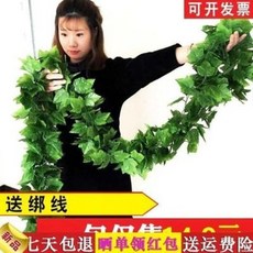 c1e8e8865bf7f067e058ad5e4b67c9326ab997fba2314e4ed139df86a493.jpeg