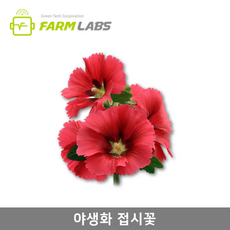 27cef84e2ee297ca47a064a74a797483483e85907a6f677ef992f57c8696.png