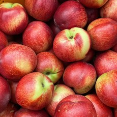 신비복숭아 천도복숭아 신선 오월도 1kg 2kg, 오월도복숭아 2kg(11~19과) × 1박스, 1박스, 오월도복숭아 2kg(11~19과)