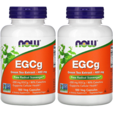 카멜리아시넨시스