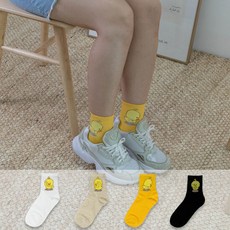 병아리양말