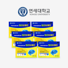 테라브레인