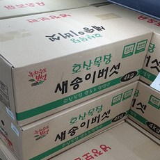 호산목장 새송이버섯 4kg, 일반포장 동절기만