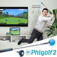 파이골프2 홈 스크린골프 시뮬레이터 스윙분석기 스윙연습기 - Phigolf2, 없음
