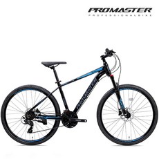 디렘프로마스터