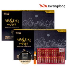광동 천종 산삼배양근 골드 30병, 2개, 600ml