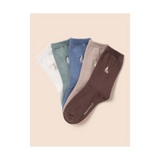 빈폴 BEANPOLE KIDS 베이직 스프링 양말 5족 SET 아이보리 BI51KTU050 188598