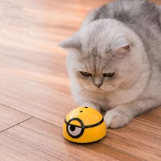 레이저포인트반려동물