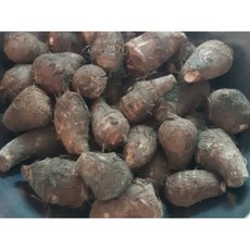 24년 국내산 햇 토란 1kg 2kg 국산토란 곡성토란 상품 알토란 국산토란뿌리 국내산토란 싱싱한 곡성 피토란 생토란, 1개