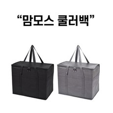 추천10 소프트쿨러추천
