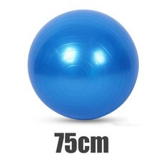  짐볼 방폭 PVC 요가공 25/45/55/65/75/85CM 두꺼운 운동 피트니스 공 가정 체육관 필라테스 장비 밸런, 05 Blue 75cm 