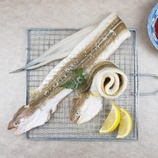 반건조바다장어