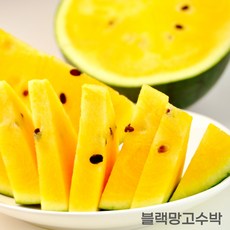 산지직송애플수박