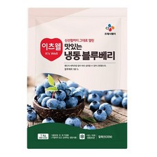 CJ 이츠웰 냉동 블루베리 1kg, 1개