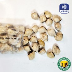 냉동 백합조개 해감 백합 탕 파스타 봉골레, 1개, 1kg