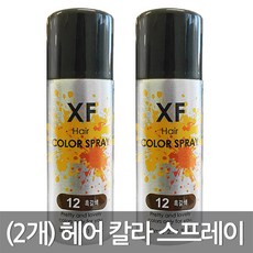 (2개)차밍코리아 엑세프 패션 헤어 칼라 스프레이, 12호 흑갈색, 2개