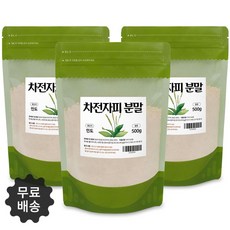 천연 식이섬유 차전자피 분말 500g /3팩/1.5kg 98 HJ_TH +UN_VE*W5 HH, 쿠팡 1