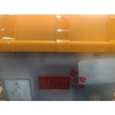 신기한수학나라교구