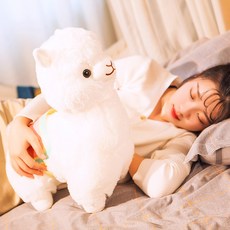 일라마스쿠아프라이머