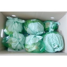 국내산 산지직송 양상추 12통 개별포장 양상치 포장양상추 양상추샐러드, 12통 낱개포장, 12개