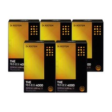 닥터루템 THE 맥주효모 4000
