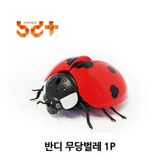 무당벌레rc