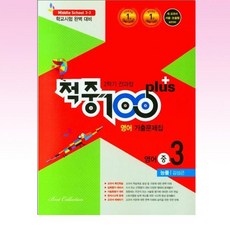 적중100플러스영어중3-2김성곤