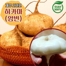 산지직송 제주 히카마 히까마 얌빈 서귀포 멕시코감자, 1박스, 3kg(혼합)