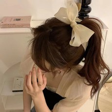 펜디머리핀