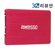 리뷰안 960X 256GB 고성능 SATA SSD DRAM 256G, 960X SATA SSD