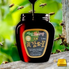 2대부자 허니팜 월악산 2.4kg 국산 천연 감로꿀 벌꿀 숙성꿀 선물포장, 1병