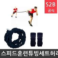 벨트교구