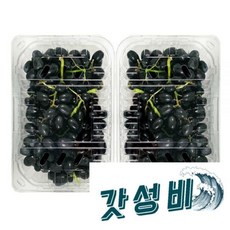 씨 없는 포도 3.6kg 제철 과일 대부 송산 사현