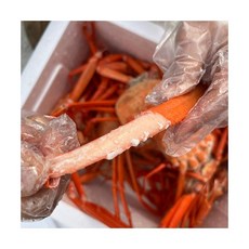 독도 홍게 6kg 자숙 B급 수율 50 70% 내외, 독도 홍게 6kg 자숙 B급 (수율 50-70% 내외)
