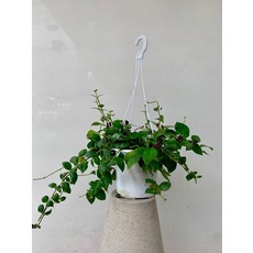 수공예문발타피스트리