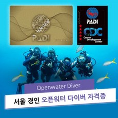 PADI 오픈워터 다이버 교육 서울&경인