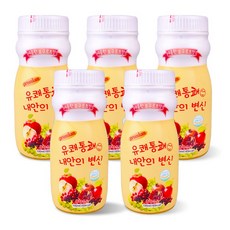 짱가싸다몰 유쾌통쾌 내안의변신 5병 식이섬유 장 음료 #EA, 100ml, 1
