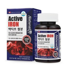 네추럴라이즈 액티브 철분 100캡슐 30mg 100일분 식물성 혈액생성 여성 임산부 청소년 영양제, 100정